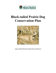 Black-tailed Prairie Dog Conservation Plan