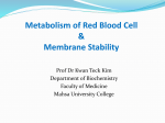 Metabolism of RBC