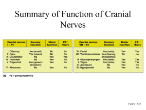 Summary of Function of Cranial Nerves