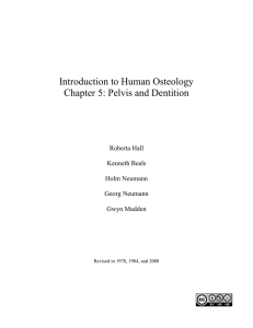 Introduction to Human Osteology Chapter 5: Pelvis and Dentition