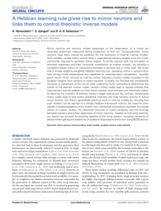 A Hebbian learning rule gives rise to mirror neurons and links them