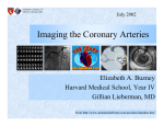 Imaging the Coronary Arteries