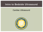 Introduction to Cardiac Ultrasound
