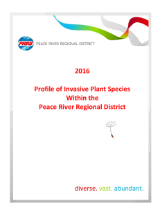 Profile of Invasive Plant Species within the Peace River Regional