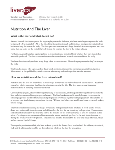 Nutrition And The Liver - Canadian Liver Foundation