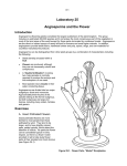 Angiosperms and the Flower