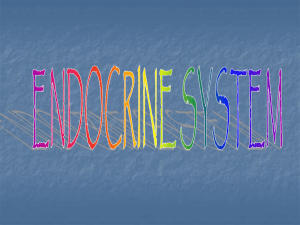 Endocrine System