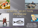 Genetic Selection Program