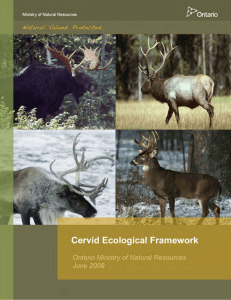 Cervid Ecological Framework