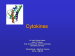 Cytokine - Chemotaxis Group