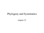 Phylogeny and Systematics