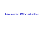 22. Recombinant DNA Technology
