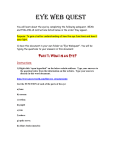 EYE WEB QUEST