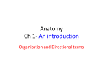 Anatomy Ch 1