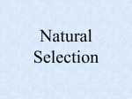 Genetic Variation is the Key to Natural Selection