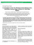 A SEROLOGICAL SURVEY FOR INFECTIOUS BURSAL DISEASE