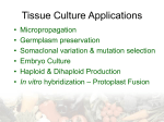 Tissue culture applications