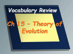 Vocabulary Review