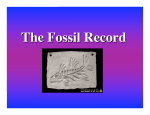 Fossils and Darwin