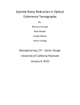 Speckle Noise Reduction in Optical Coherence Tomography By