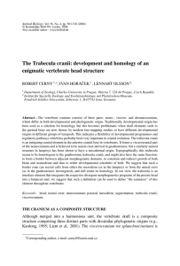 Animal Biology 56(4)