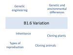 B1.6 Variation - Animated Science