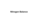 Nitrogen Balance
