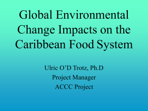 Global change impacts on the Caribbean Food System