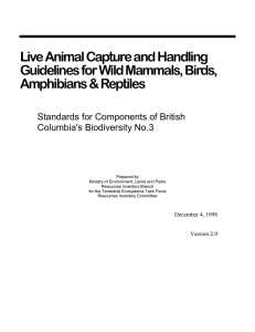 Live animal capture and handling guidelines for wild mammals