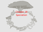 Chapter 18 Speciation