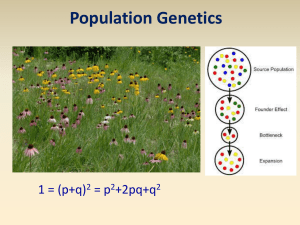 Population Genetics