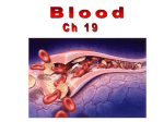 Blood type Antigen Antibody