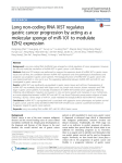 Long non-coding RNA XIST regulates gastric cancer progression by