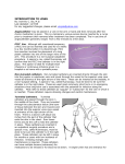 INTRODUCTION TO LINES By: Dominic C. Sia, M.D. Last Updated