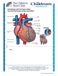 notes - Children`s Heart Clinic