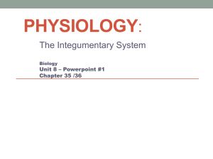 Integumentary - WordPress.com