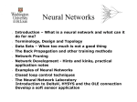 Neural Networks