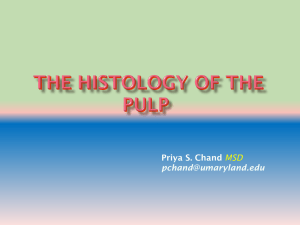 The Histology of the Pulp