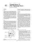 61 Cranial Nerve V: The Trigeminal Nerve