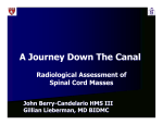 A Journey Down The Canal: Radiological Assessment of Spinal