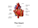 The Heart - WordPress.com
