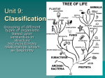 Unit 9: Classification
