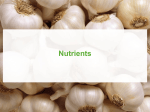 nutrients - Dynamic Learning