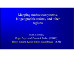 Mapping Marine Ecosystems, Biogeographical Realm, and Other