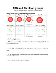 ABO and Rh blood groups
