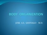 BODY ORGANIZATION