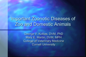 Important Zoonotic Diseases of Zoo and Domestic Animals