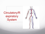 Circulatory/Respiratory