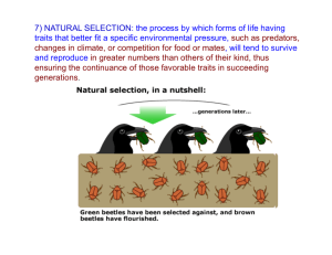 7) NATURAL SELECTION: the process by which forms of life having