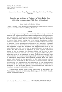 Detection and Avoidance of Predators in White